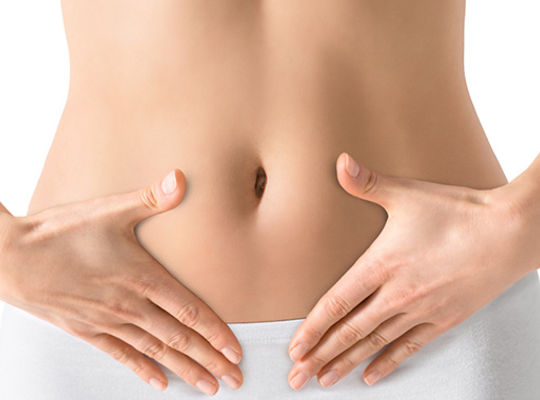 腸内細菌　脳　睡眠