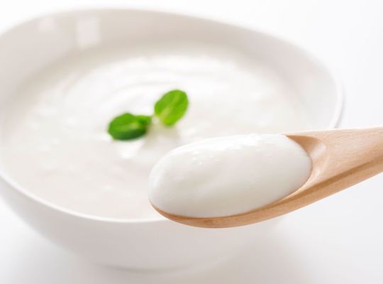 乳酸菌　腸内環境　腸