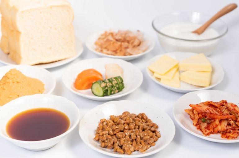 乳酸菌　腸内環境　腸